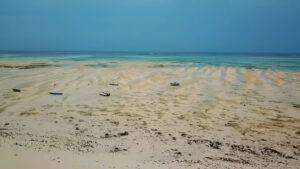 World’s Highest Tides - Zanzibar