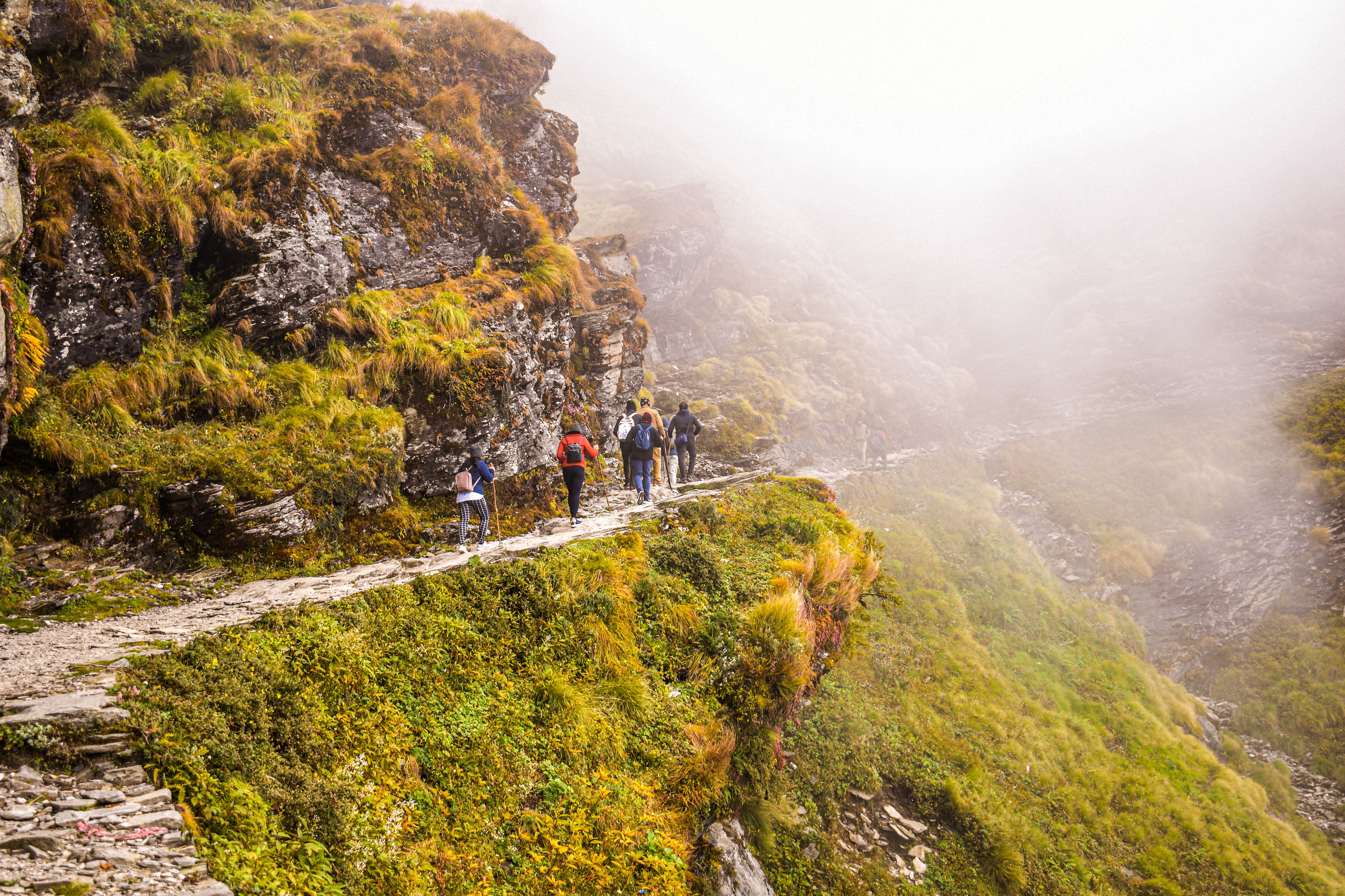 Group of hikers trekking along a misty mountain trail
