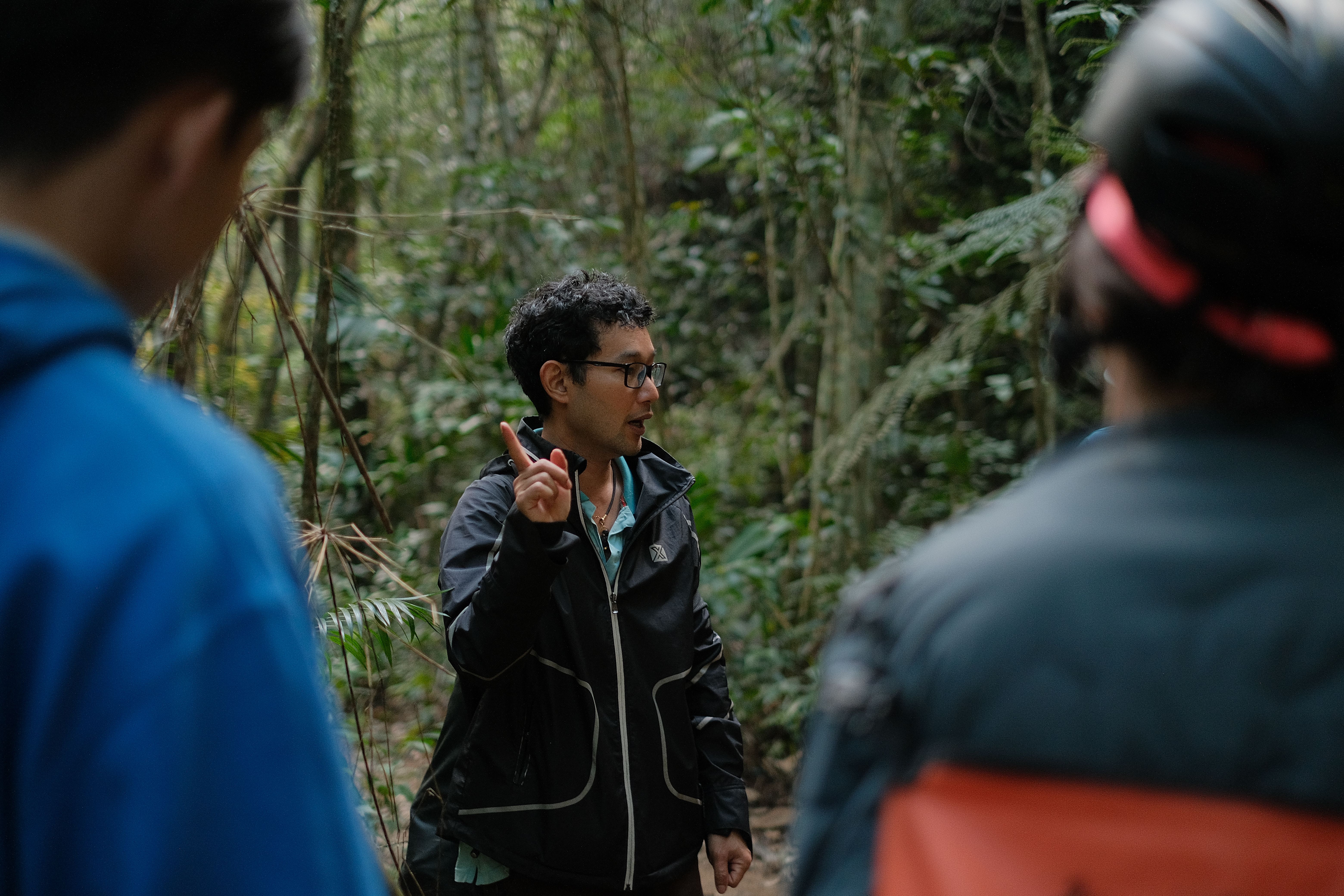Guide leading visitors on an educational nature walk through a forest